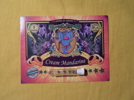 Cream Mandarine Auto - картинка 1