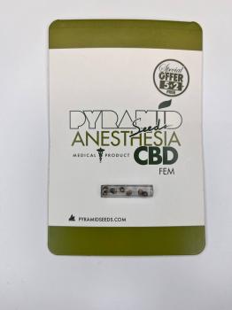 Anesthesia CBD